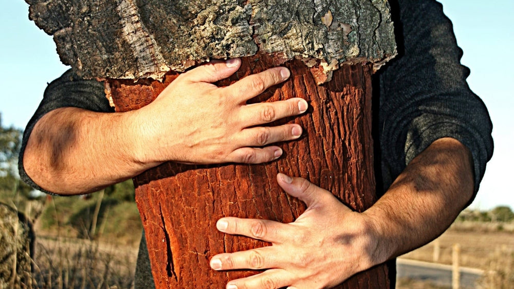 720X1280_crop_min_6f8f60287c794237b96778b22abdf641