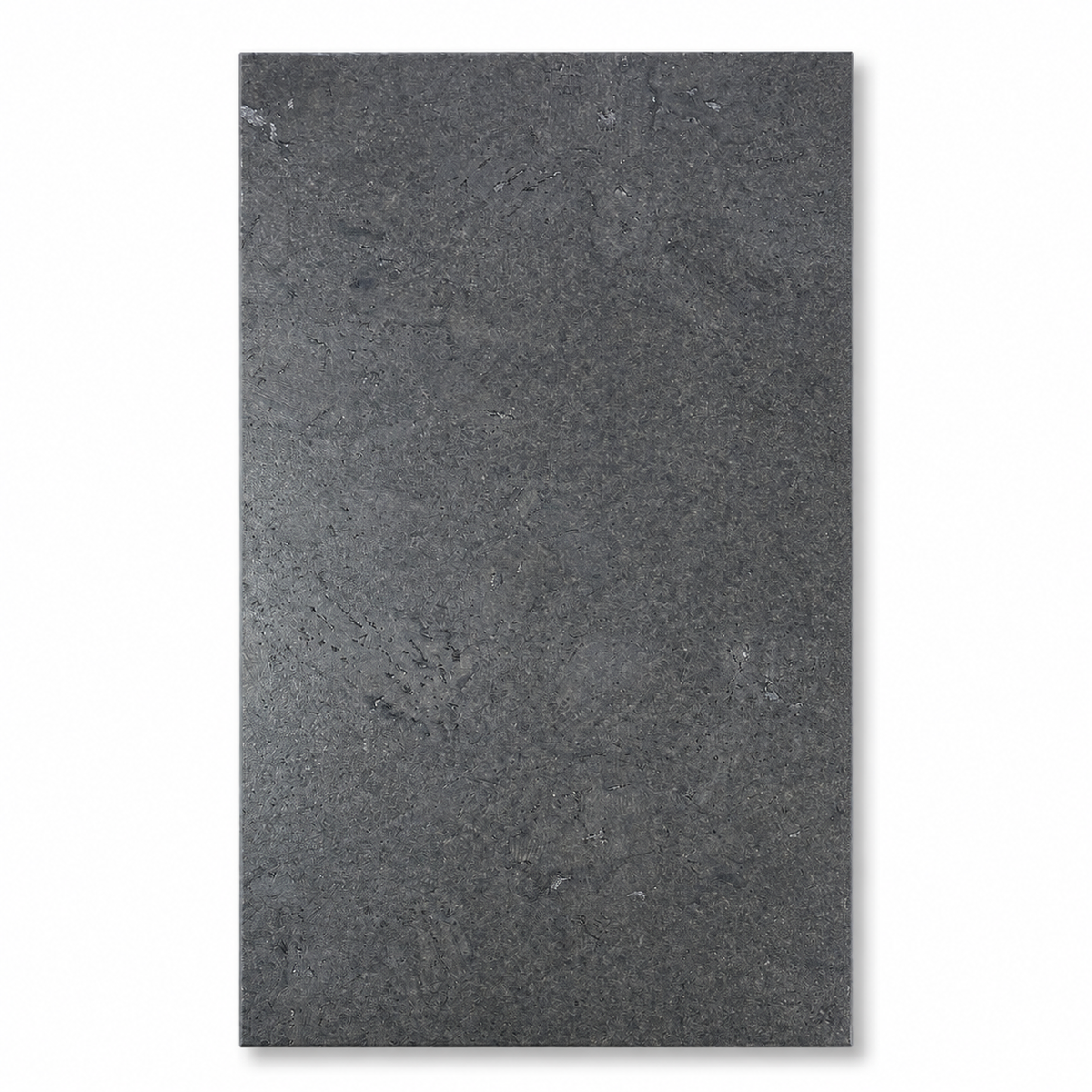 Amorim Plak kurkvloer - Shell Grafite - 60 x 30 cm - 4 mm dik - per m2
