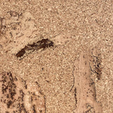 ClimaCork Gelakte plak kurkvloer - Gallura - 60 x 30 cm. - per m²