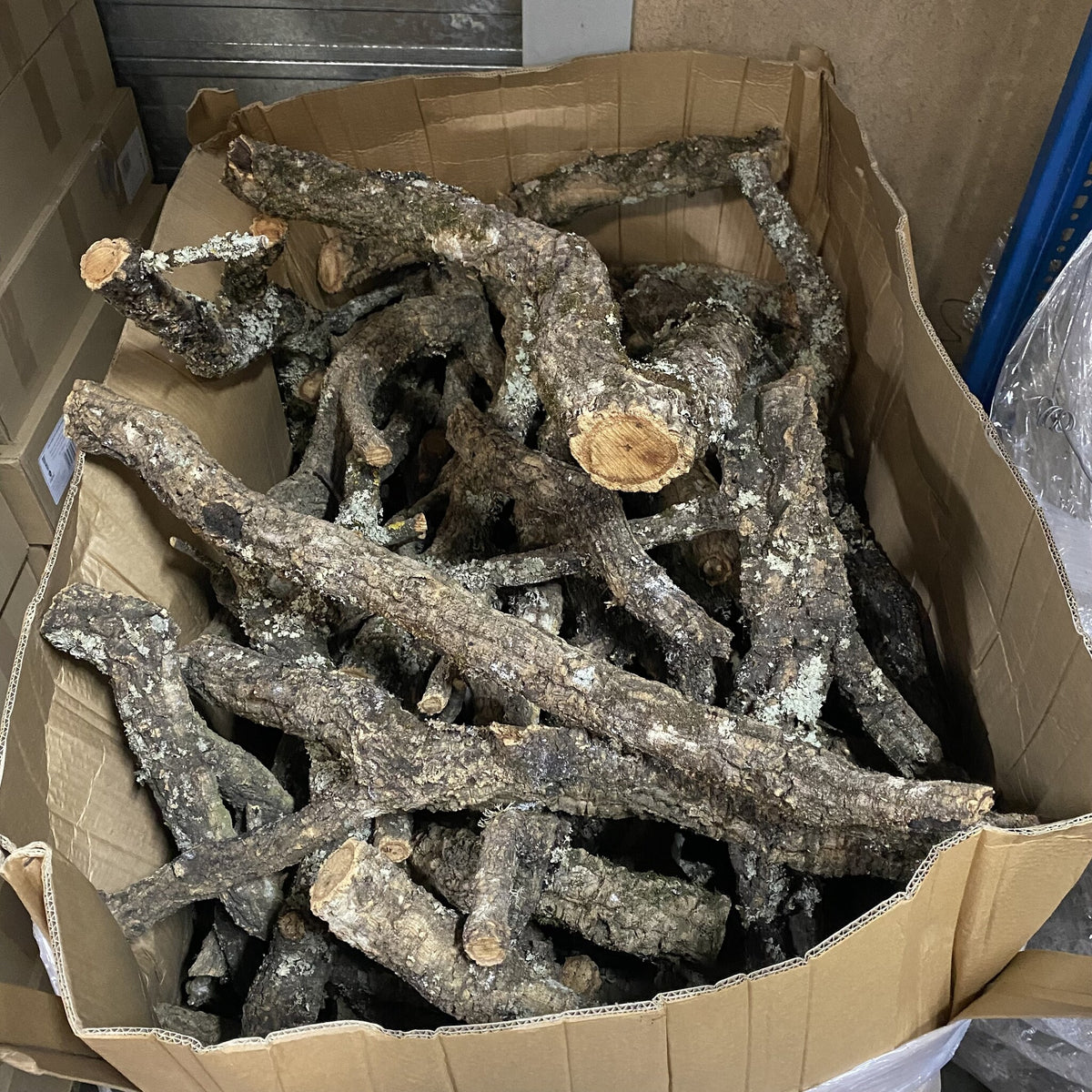 Kurk24 Kurk Takken - Boomstammetjes Per kg