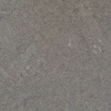 Kurk24 Plak kurkvloer - Shell Grafite - 60 x 30 cm - 4 mm dik - per m2