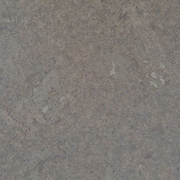 Klebe-Korkboden – Shell Grafite – 60 x 30 cm – 4 mm stark – pro m2