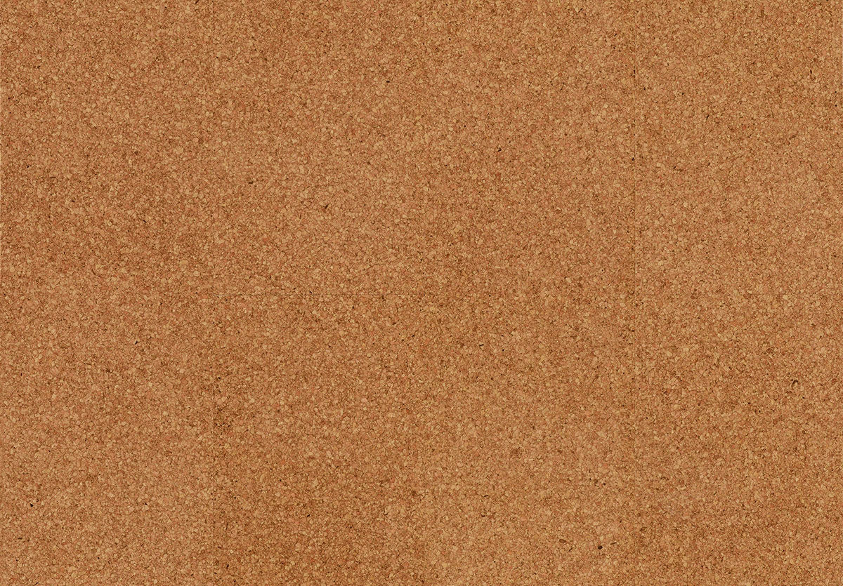 Wicanders Wicanders Cork Go Moment - per m2